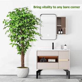 Keeplush ficus comes in a black cement planter for stability.