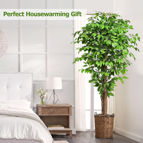 Keeplush ficus branches are adjustable for your preferred shape.