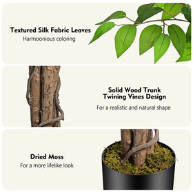 Keeplush ficus three curved trunks create a realistic silhouette.