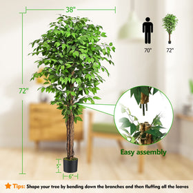 Keeplush ficus is ideal for weddings and everyday decor.