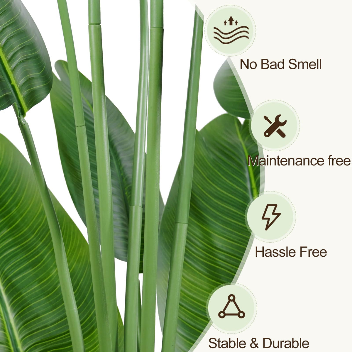 Keeplush tropical greenery with minimal maintenance for year-round appeal