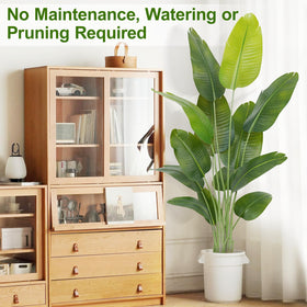 Keeplush indoor decor ideal for living rooms and lobbies.