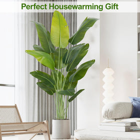 Keeplush durable fade-resistant plant withstands indoor lighting and daily use
