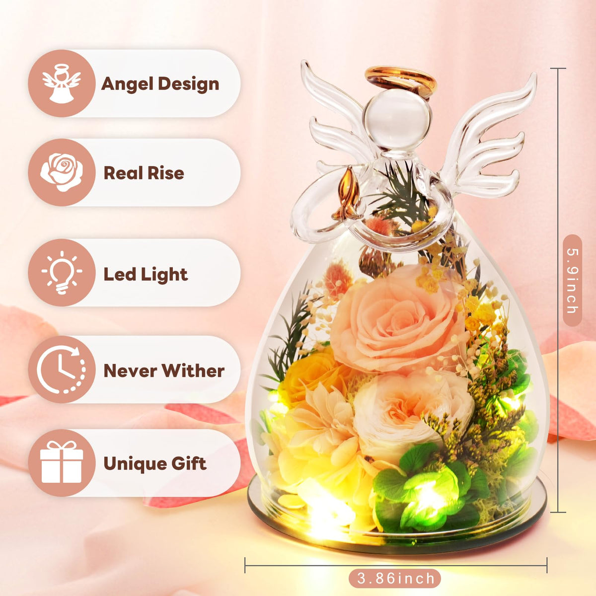 Kemiputi glass dome closeup highlights preserved rose color and premium craftsmanship.