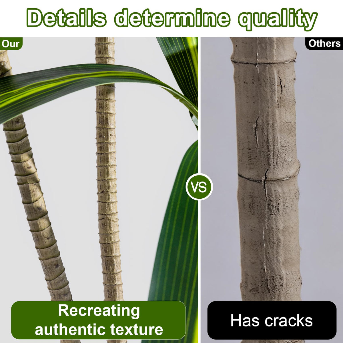 Kgabbke office-reception Dracaena tree boosts welcoming spaces.