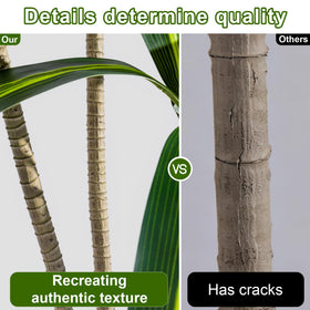 Kgabbke office-reception Dracaena tree boosts welcoming spaces.