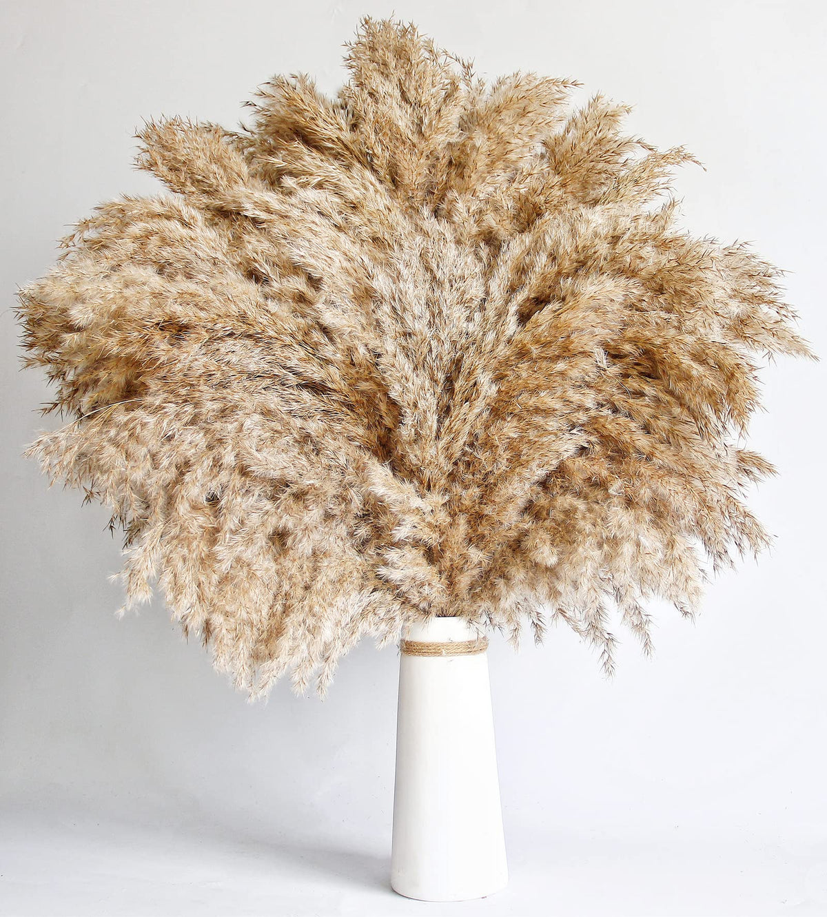 Kocat boho room decor pampas, versatile filler for vases and centerpieces.