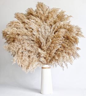 Kocat boho room decor pampas, versatile filler for vases and centerpieces.