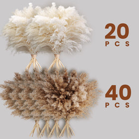 Kocat brown pampas grass, natural dried stems for rustic tables and shelves.