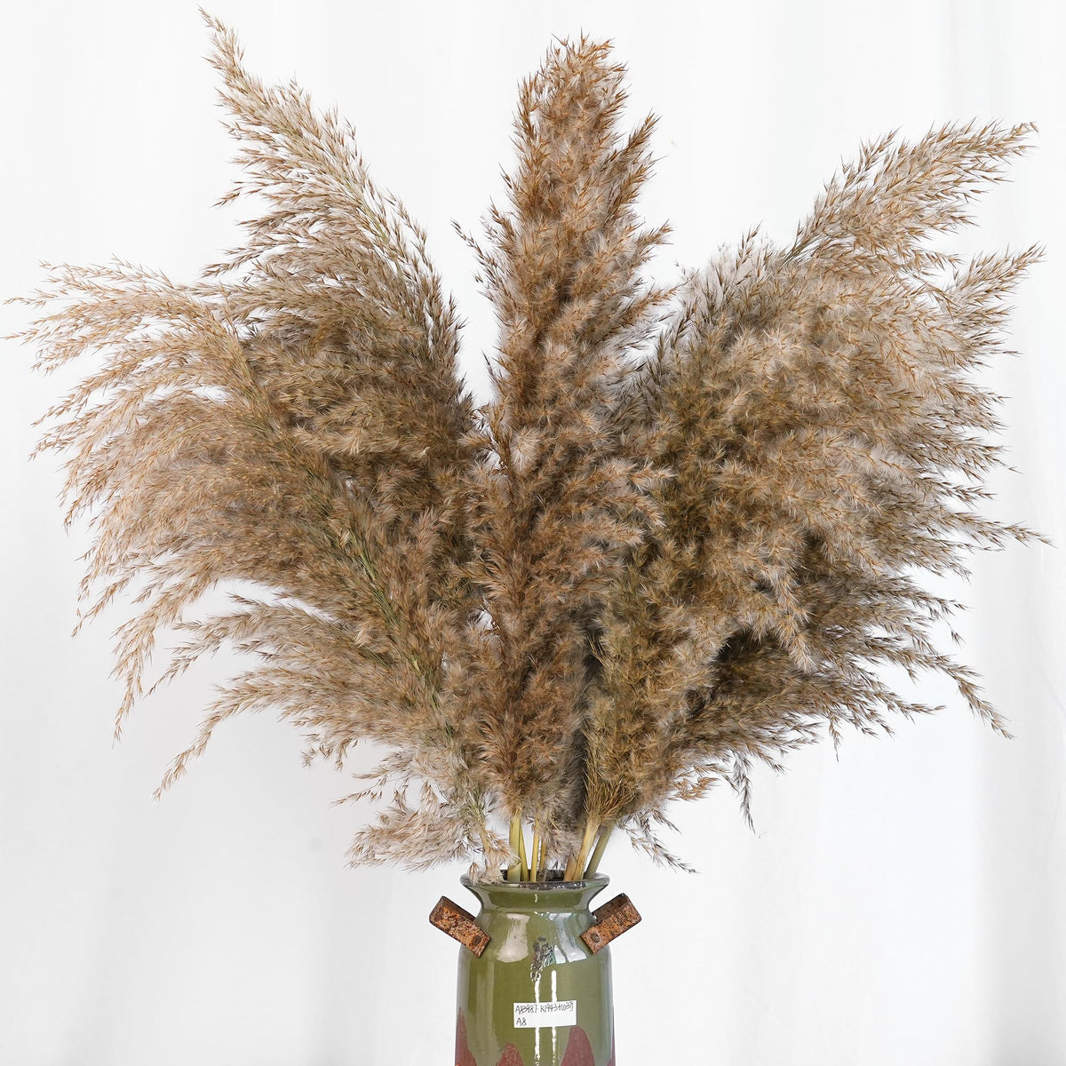 Kocat dried baby’s breath accent for pampas arrangements.