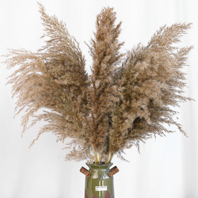 Kocat dried baby’s breath accent for pampas arrangements.