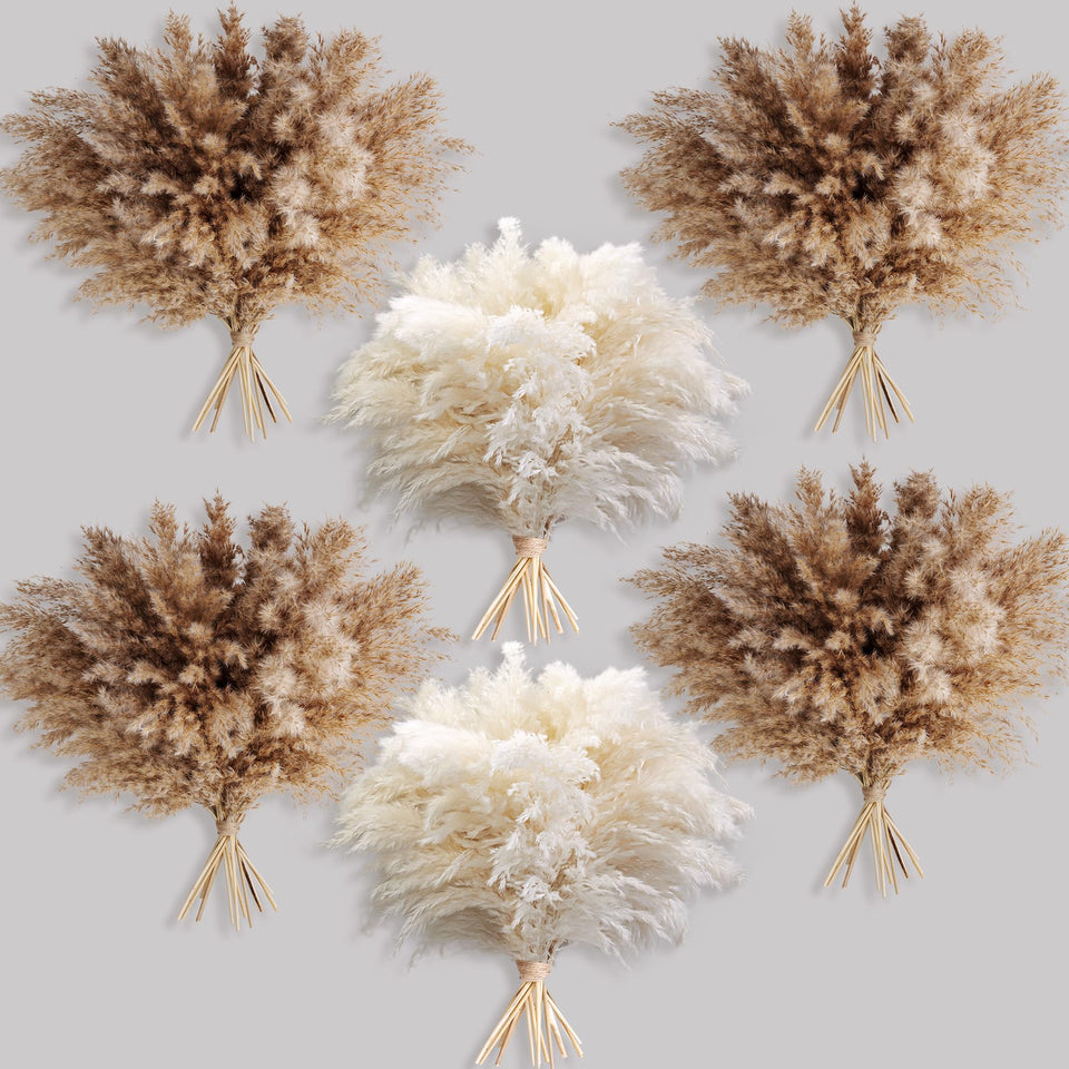 Kocat fluffy pampas grass bundle, 60 pieces, ideal for boho room décor and lasting arrangements.