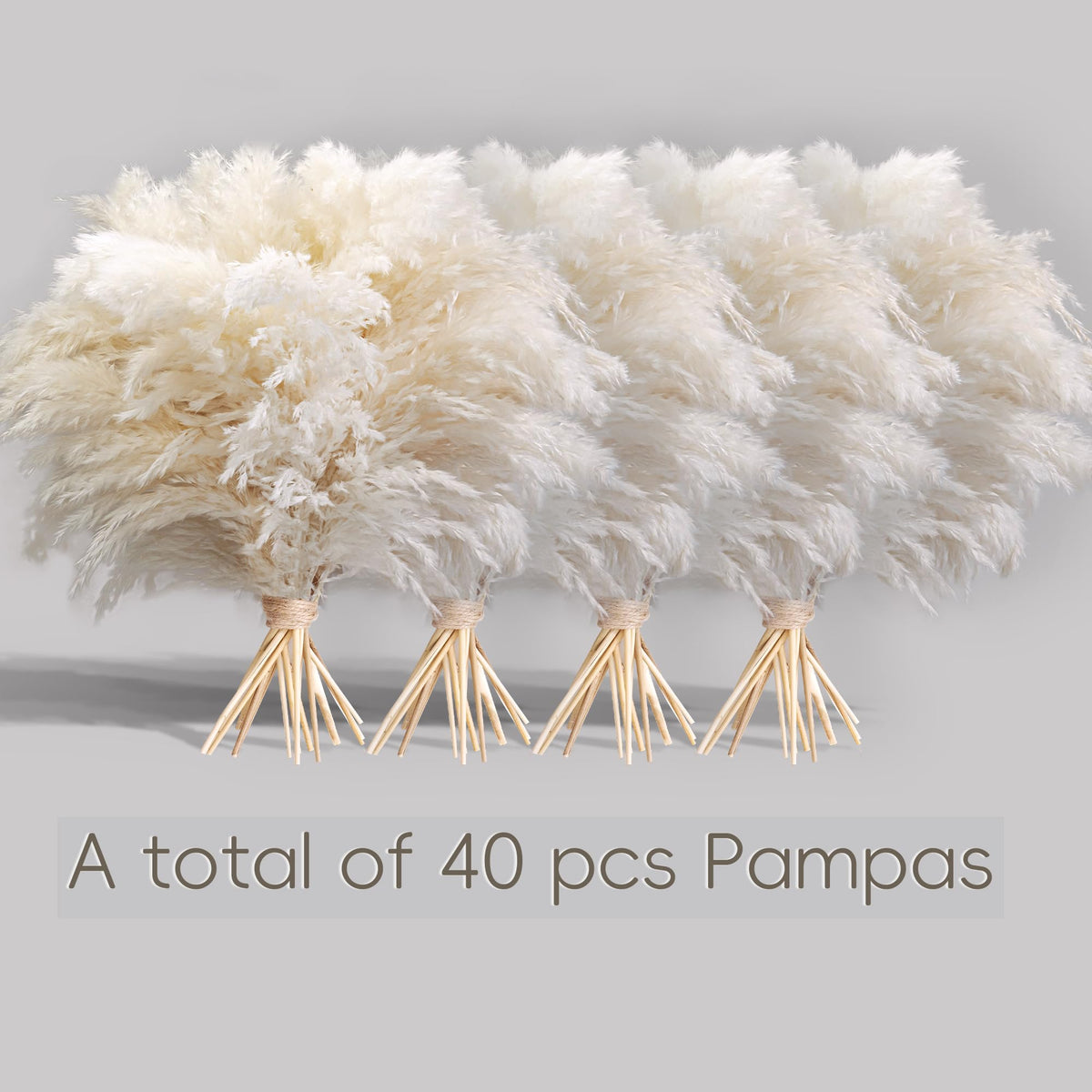 Kocat white pampas grass fluffy stems add cozy living room flair.