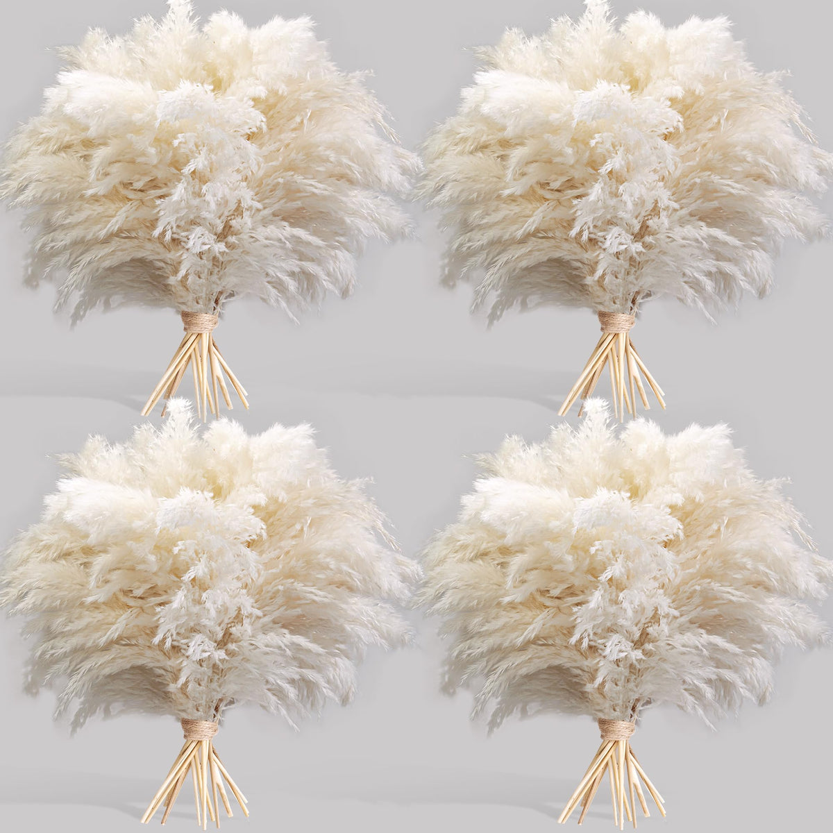 Kocat white pampas grass pack 40pcs enhances versatile home decor.