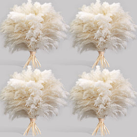 Kocat white pampas grass pack 40pcs enhances versatile home decor.