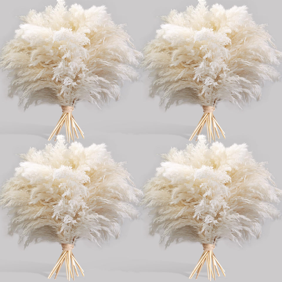 Kocat white pampas grass pack 40pcs enhances versatile home decor.