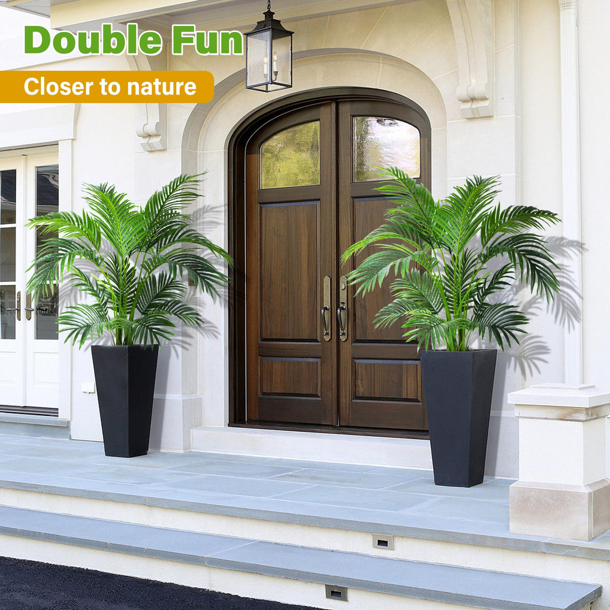 KOL Areca palm leaves close-up showing natural texture and color.
