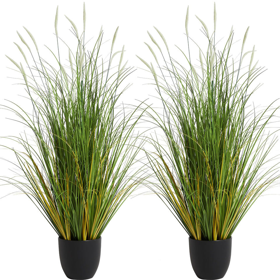KOL cattail reed grass 3ft two-pack adds lush greenery with zero maintenance.