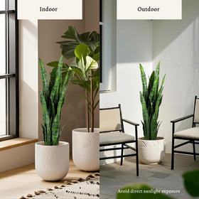 Faux snake plant texture and glossy leaves