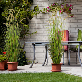 KOL high-quality PE leaves resist fading and shedding over time.
