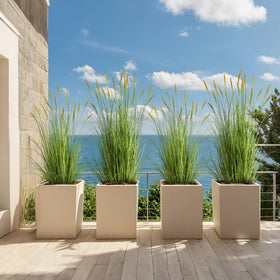 KOL home office wedding decor greenery supports mood enhancement with effortless maintenance.