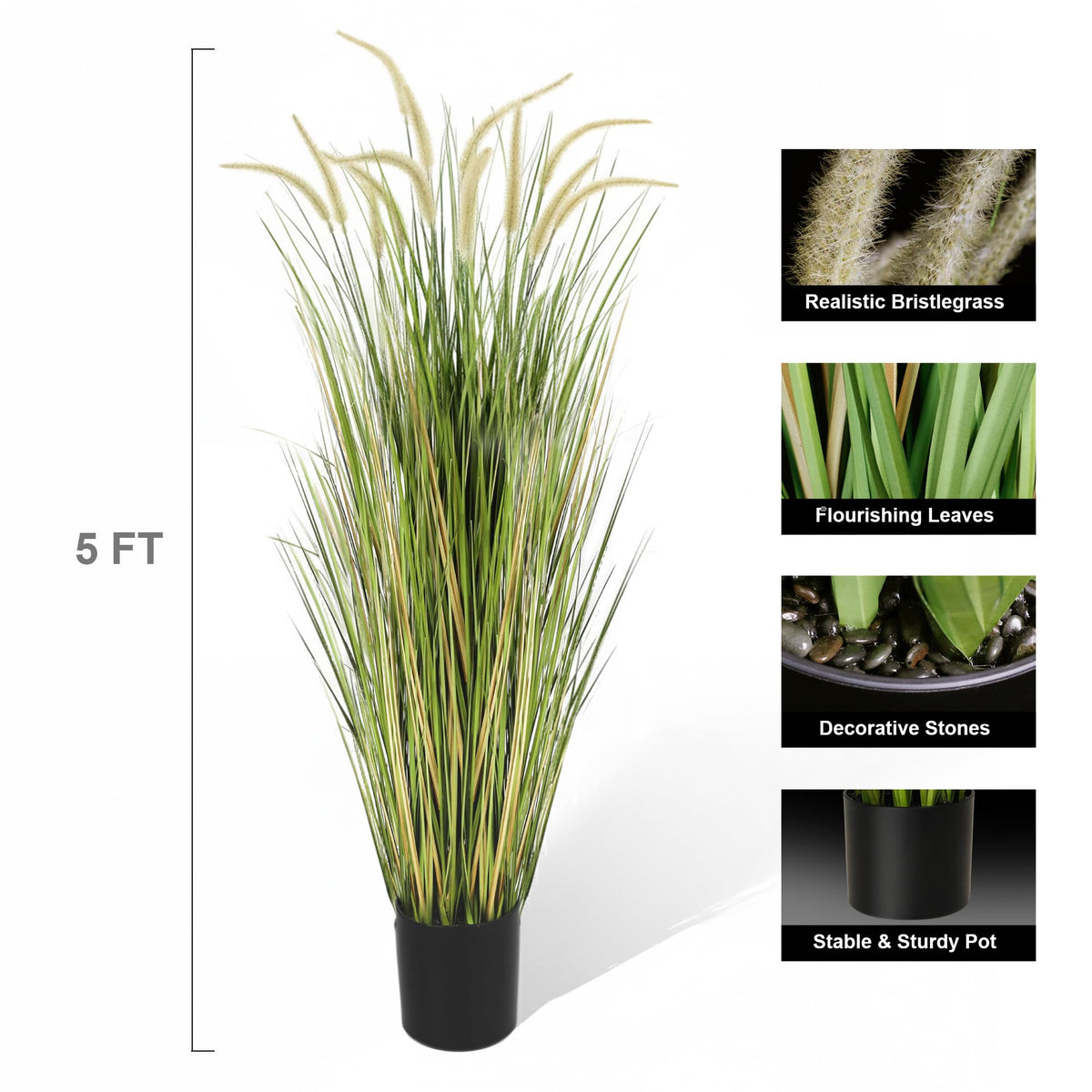 KOL horsetail reed grass enhances weddings and events with greenery.