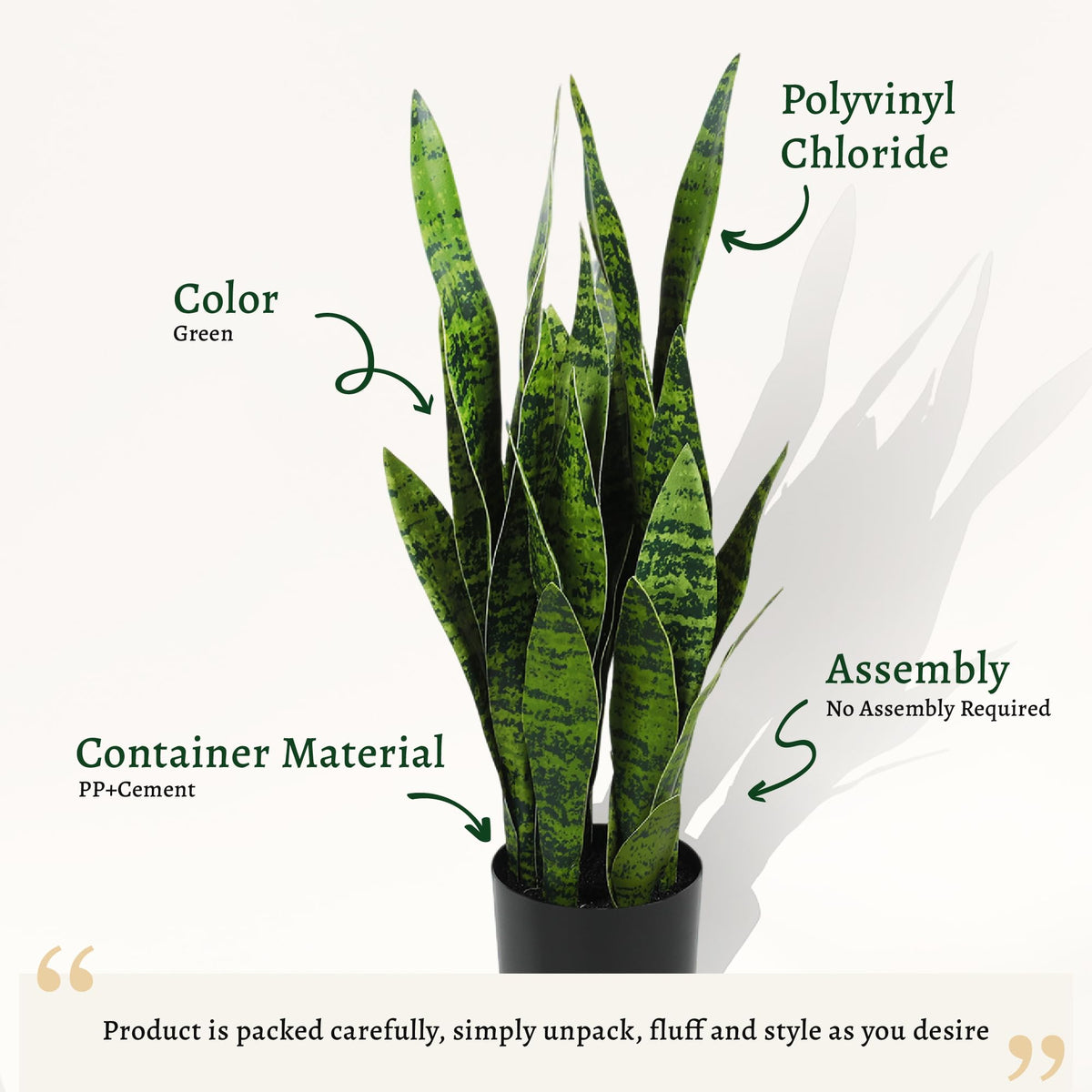 Indoor décor with KOL snake plant complements spaces