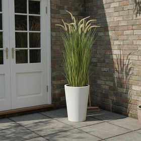 KOL included cement-base pot ensures stable support for tall plant.