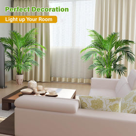 KOL Palm tree in an office creates a fresh, inviting space.