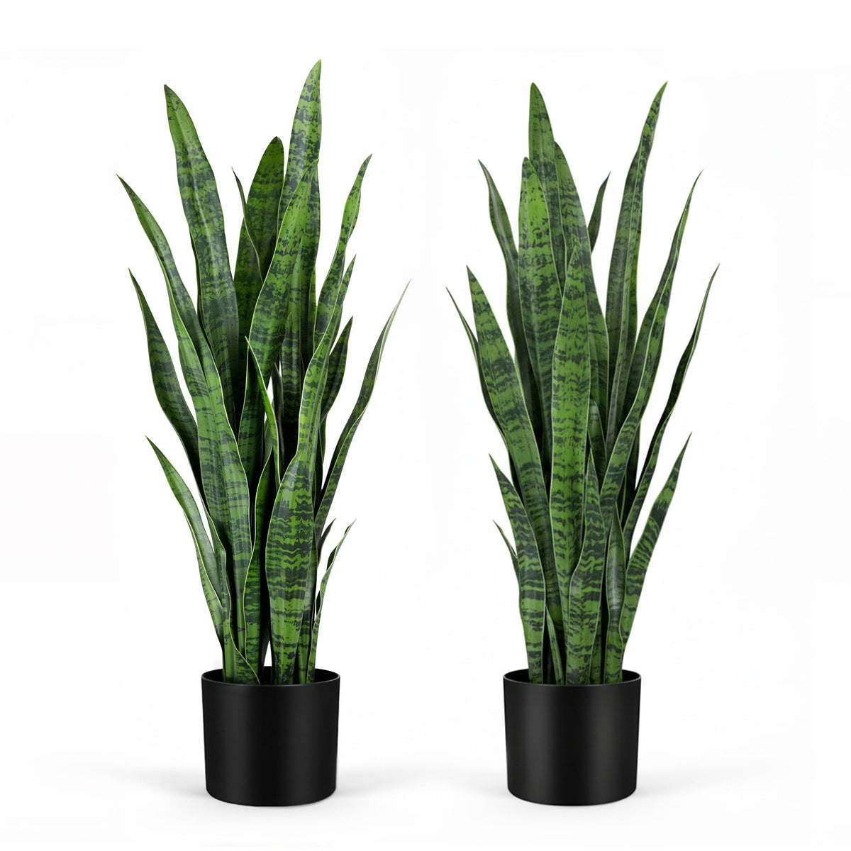 KOL snake plant 35in height adds maintenance-free indoor greenery