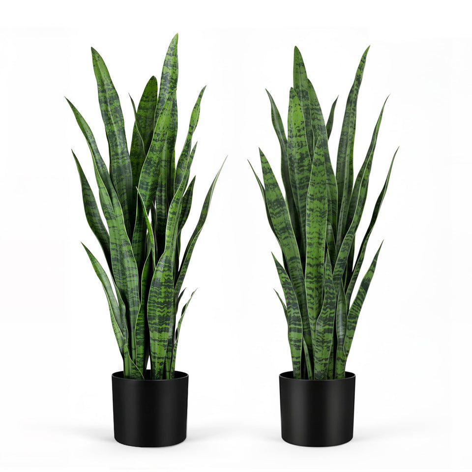 KOL snake plant 35in height adds maintenance-free indoor greenery
