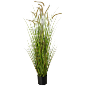 KOL versatile decor option for home, office, weddings, and parties.