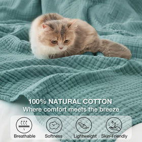 Kozyhvn blanket teal enhances living room décor and cozy throws