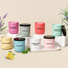 ktfkktf lemon verbena candle on shelf with fresh decor