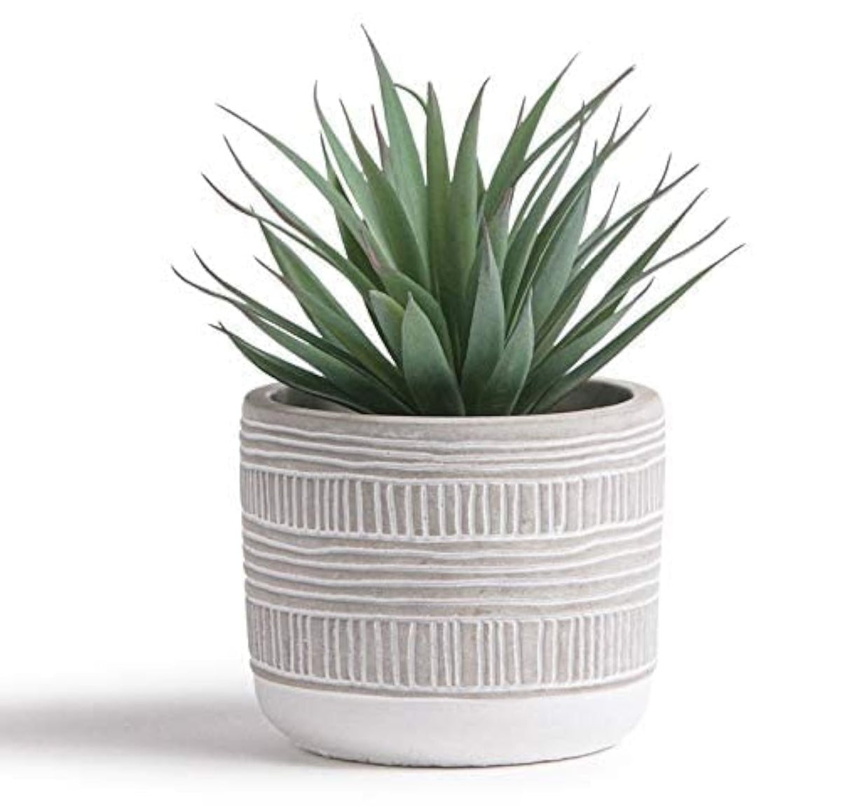 Kurrajong Farmhouse artificial plant in pot provides maintenance-free decor for any room.