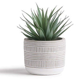 Kurrajong Farmhouse artificial plant in pot provides maintenance-free decor for any room.