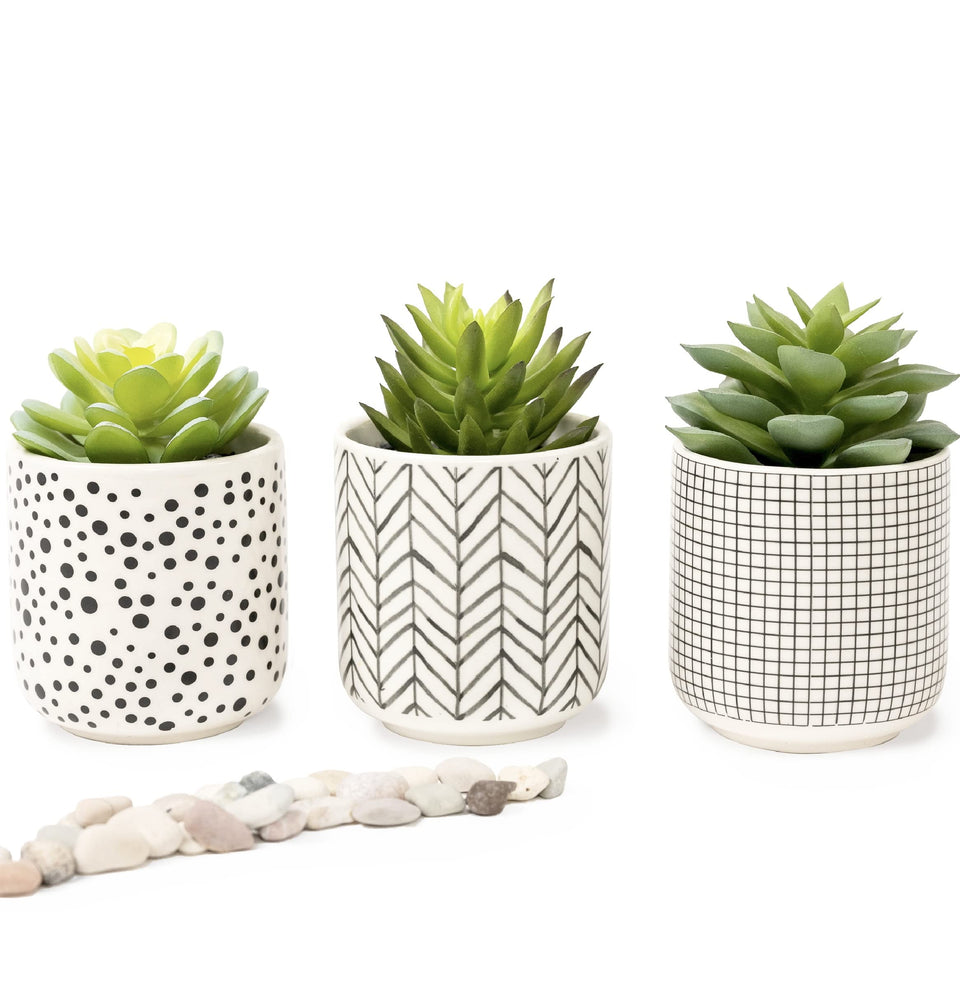 Kurrajong Farmhouse artificial succulents in black and white pots on a desk, maintenance-free.