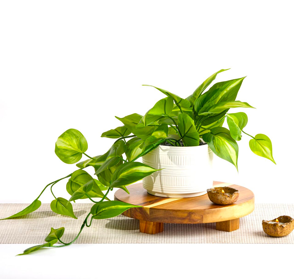 Kurrajong Farmhouse dark green fake pothos draped on a shelf for instant ambience.