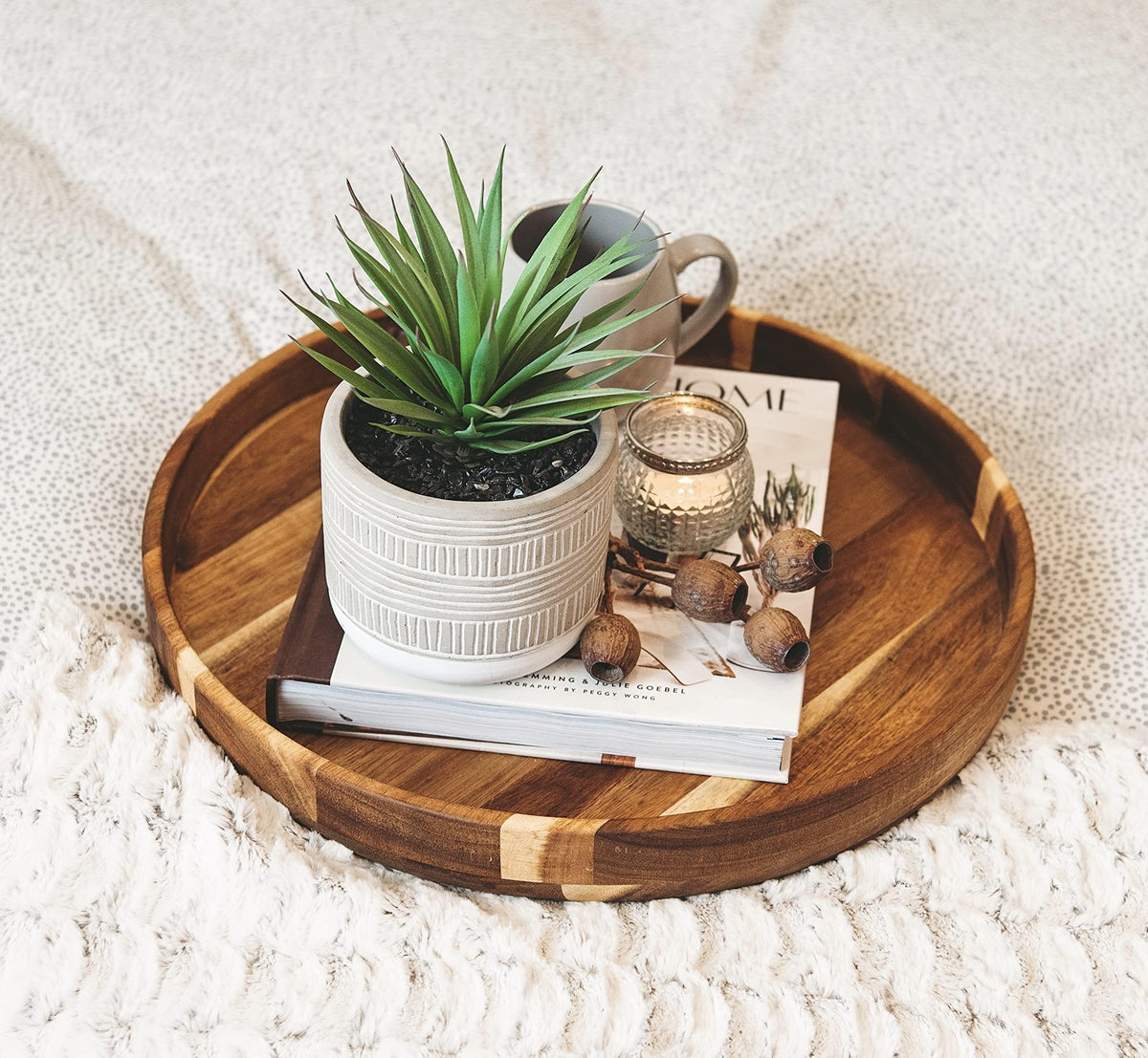Kurrajong Farmhouse desk decor 8-inch plant fits small spaces.