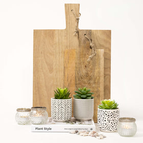 Kurrajong Farmhouse mini succulents on kitchen counter for easy styling.