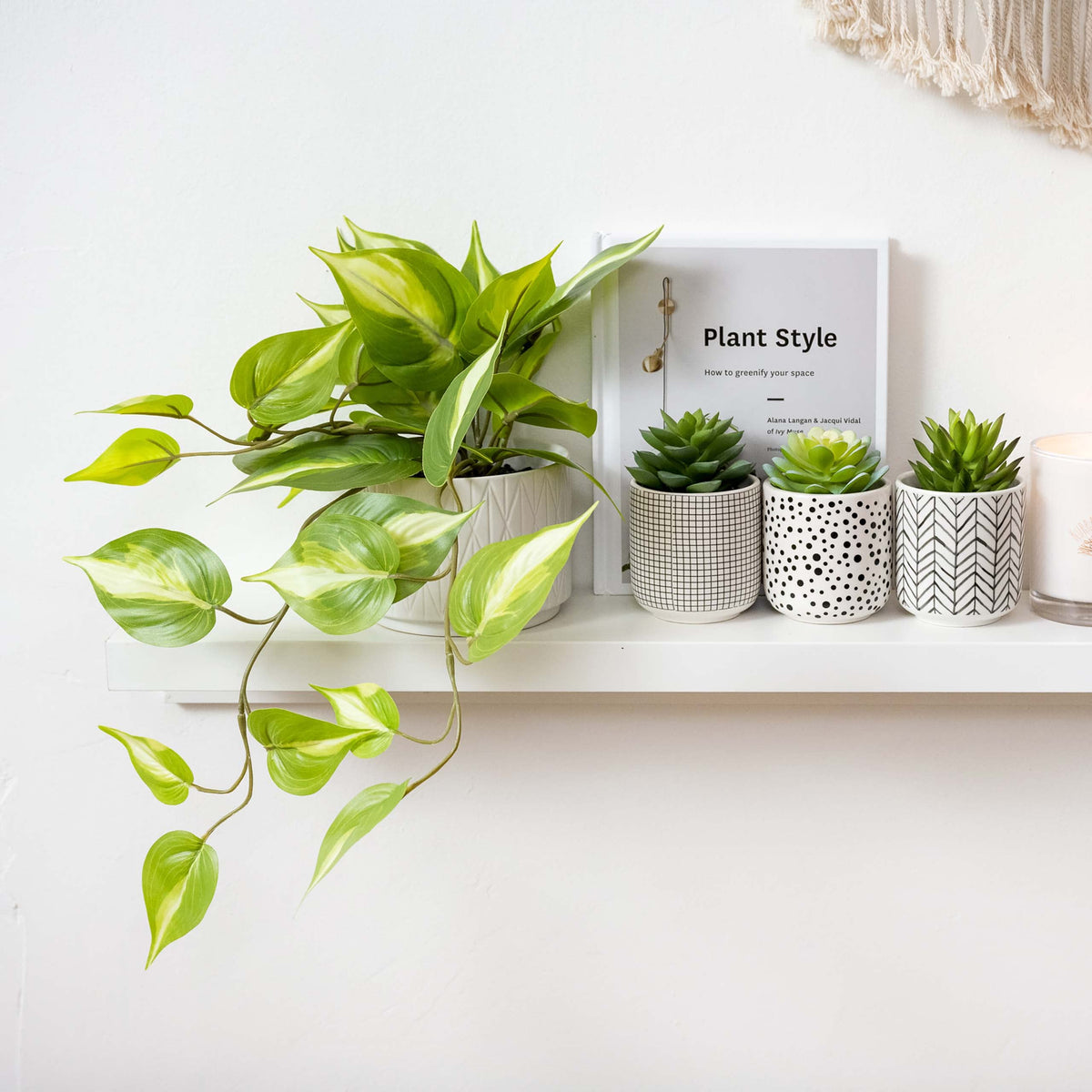 Kurrajong Farmhouse cascading vines on display for shelf styling