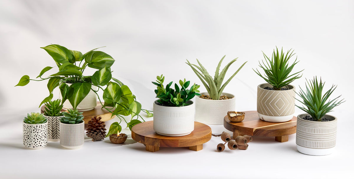 Kurrajong Farmhouse acacia pedestal stand elevates coffee station essentials with clean organization.