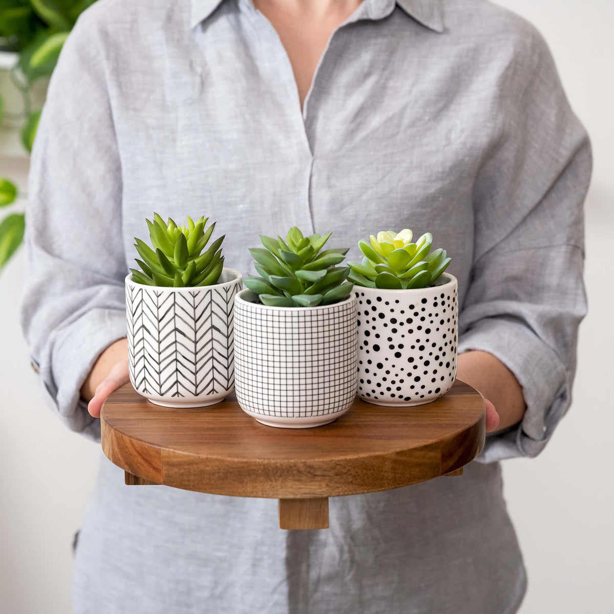 Kurrajong Farmhouse sturdy tray base keeps items stable while you style coffee stations.