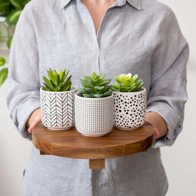 Kurrajong Farmhouse sturdy tray base keeps items stable while you style coffee stations.