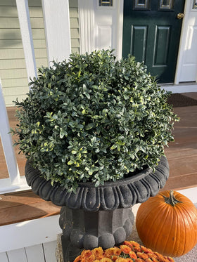kyesyes 8-inch spike facilitates simple planting in soil or planters