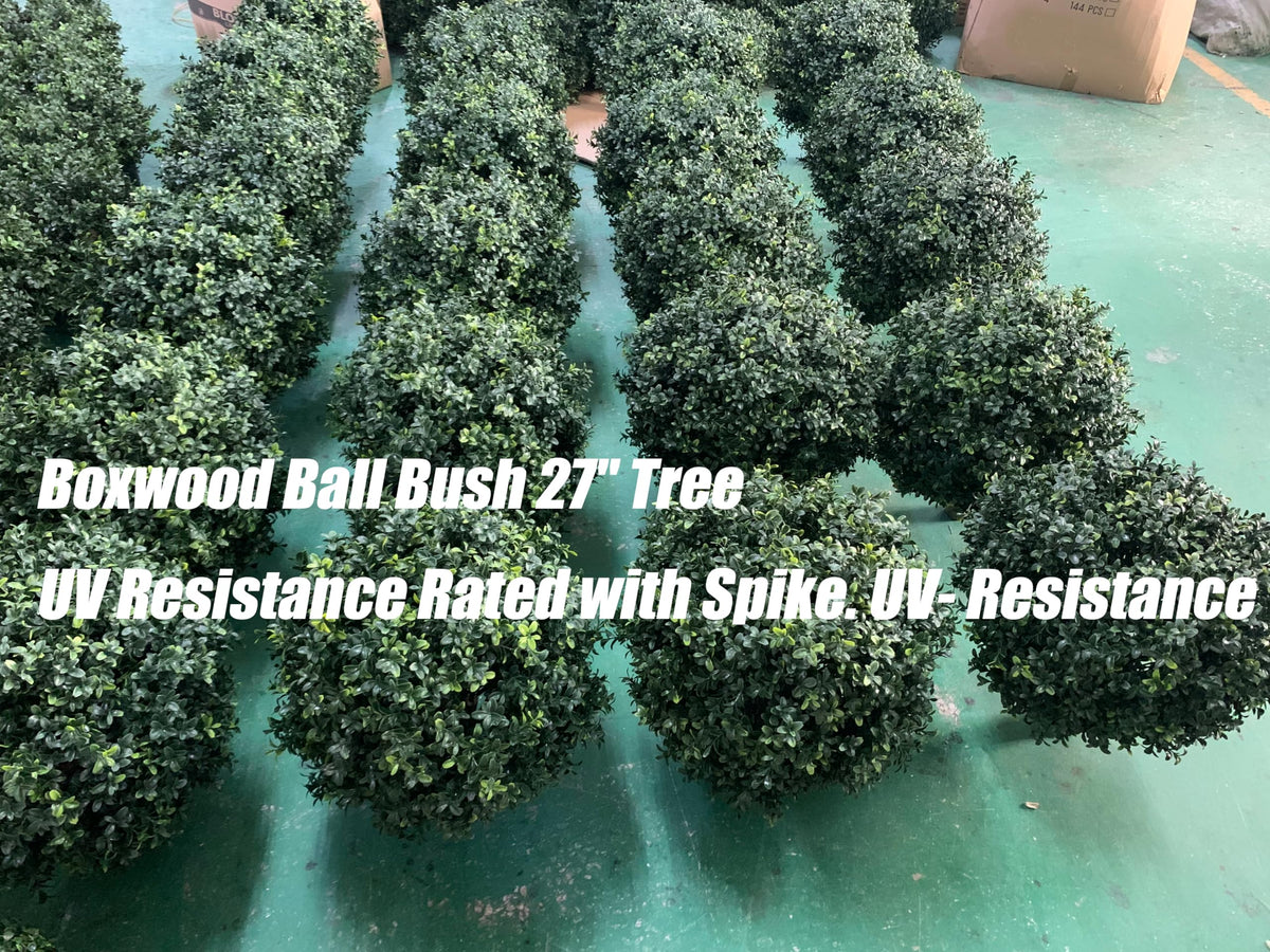 kyesyes boxwood ball close-up shows lush leaves and texture