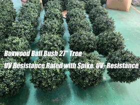 kyesyes boxwood ball close-up shows lush leaves and texture