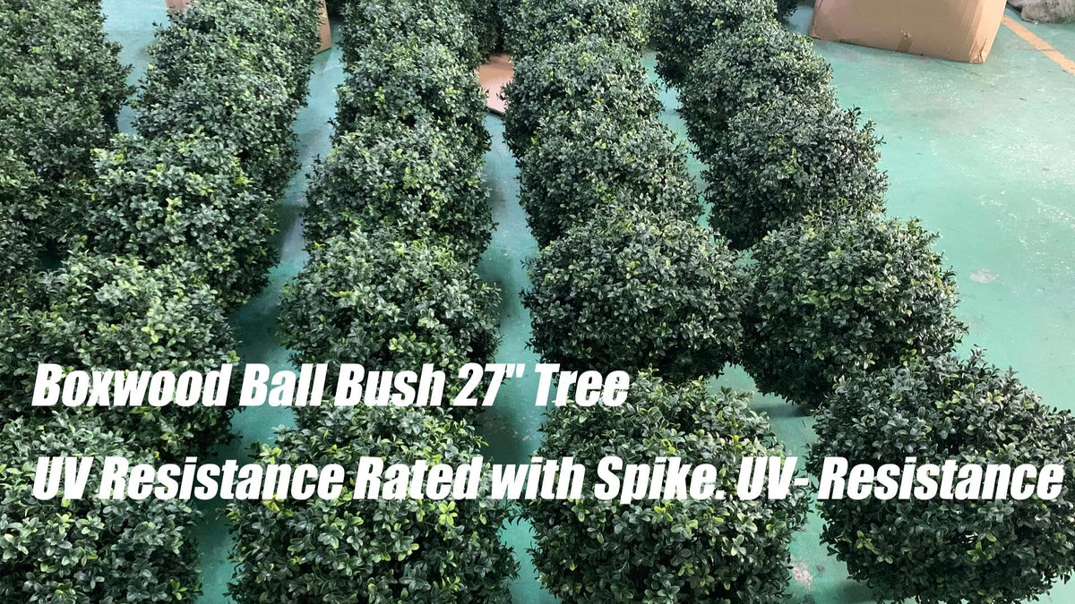 kyesyes boxwood ball with spike ready for easy ground planting