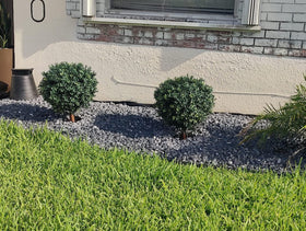 kyesyes green boxwood 18x18 inch ball for a full display