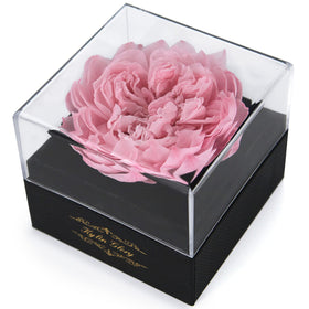 Kylin Glory preserved peony close-up in cherry pink, ideal for timeless home decor